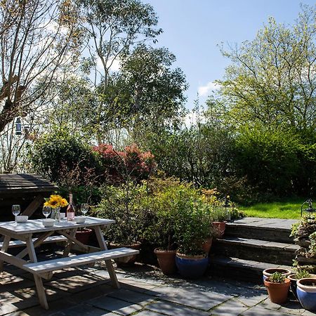 Pen-Y-Bryn Cottage ブライナイ・フェスティニオグ エクステリア 写真