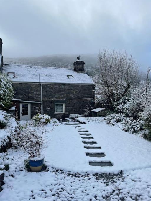 Pen-Y-Bryn Cottage ブライナイ・フェスティニオグ エクステリア 写真