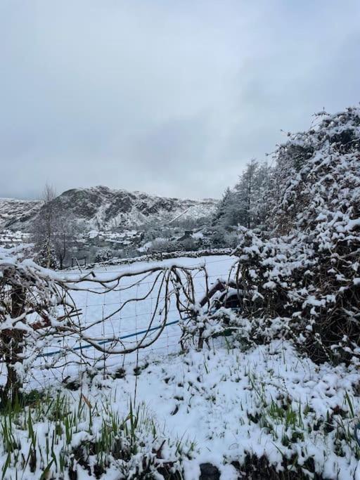Pen-Y-Bryn Cottage ブライナイ・フェスティニオグ エクステリア 写真